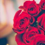 Life is a Bed of Roses by Humble Ogbonna.