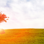 Celebrating New Life: A Poem by Solomon Ekoja