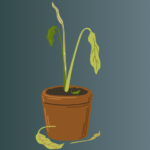 You Died: A Poem by Kenneth Nwabuisi